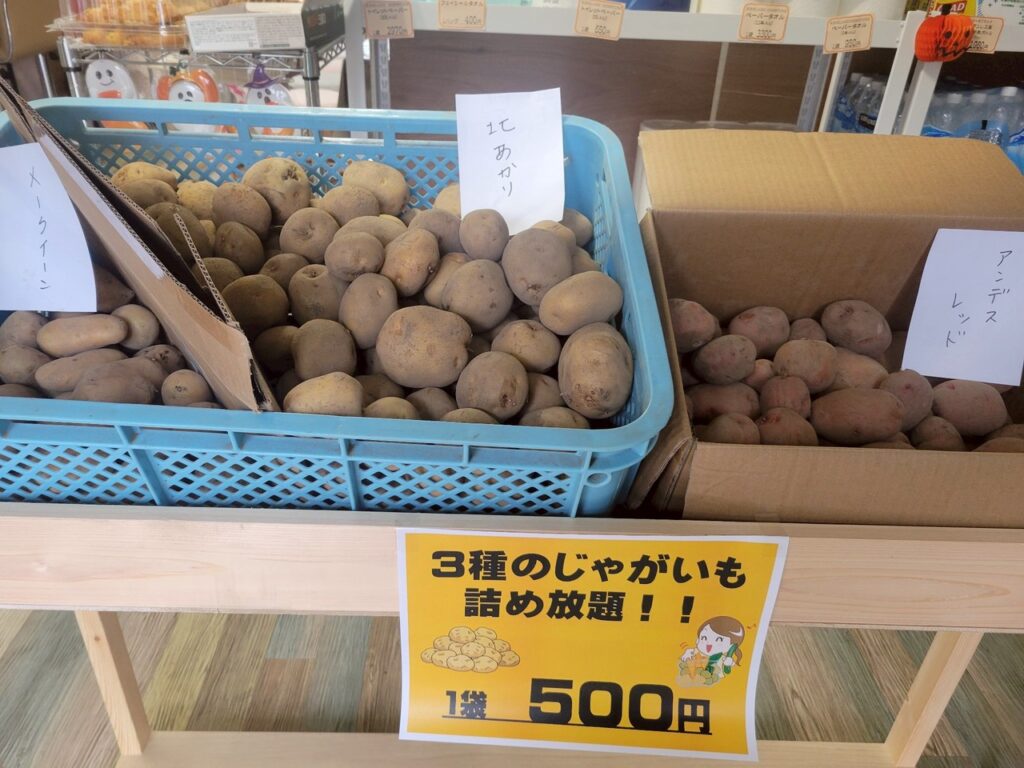 じゃがいも詰め放題開催中!本日のワンコイン弁当もご紹介🍱✨